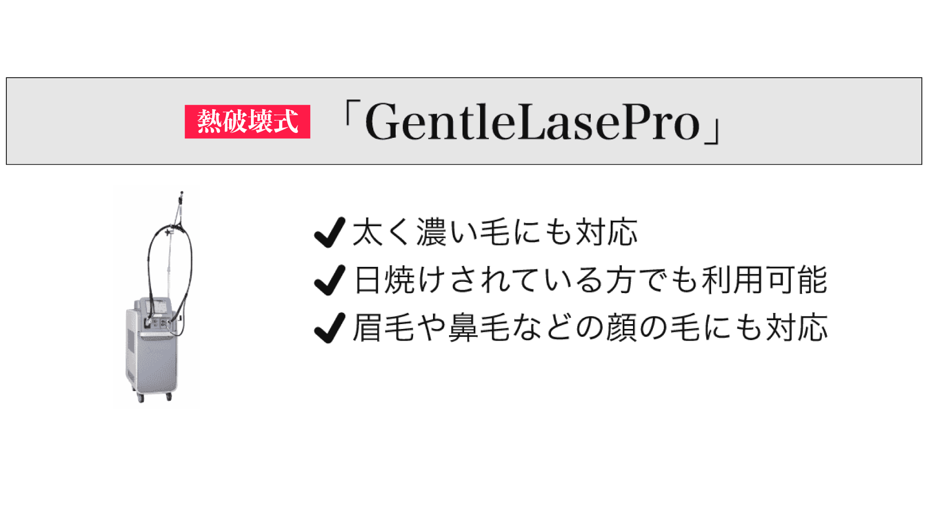 熱破壊式 「GentleLasePro」