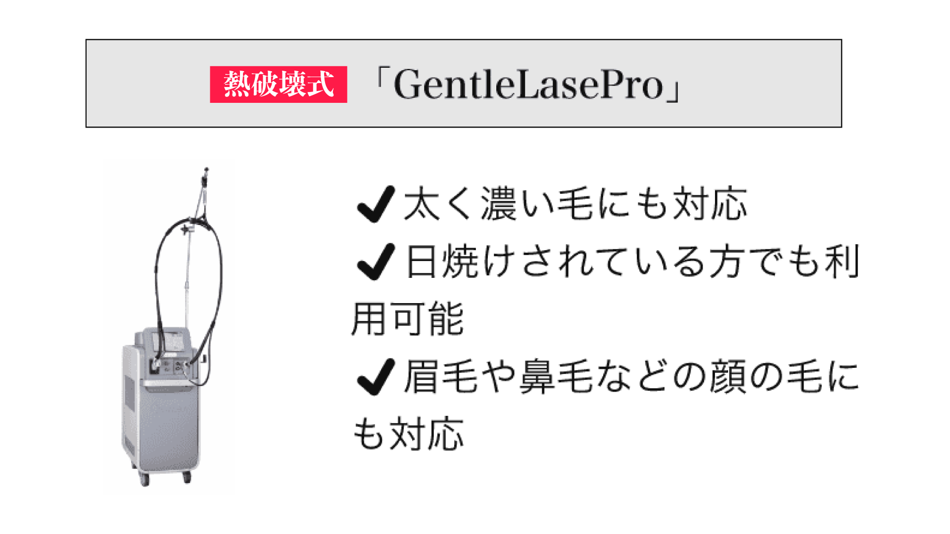 熱破壊式 「GentleLasePro」